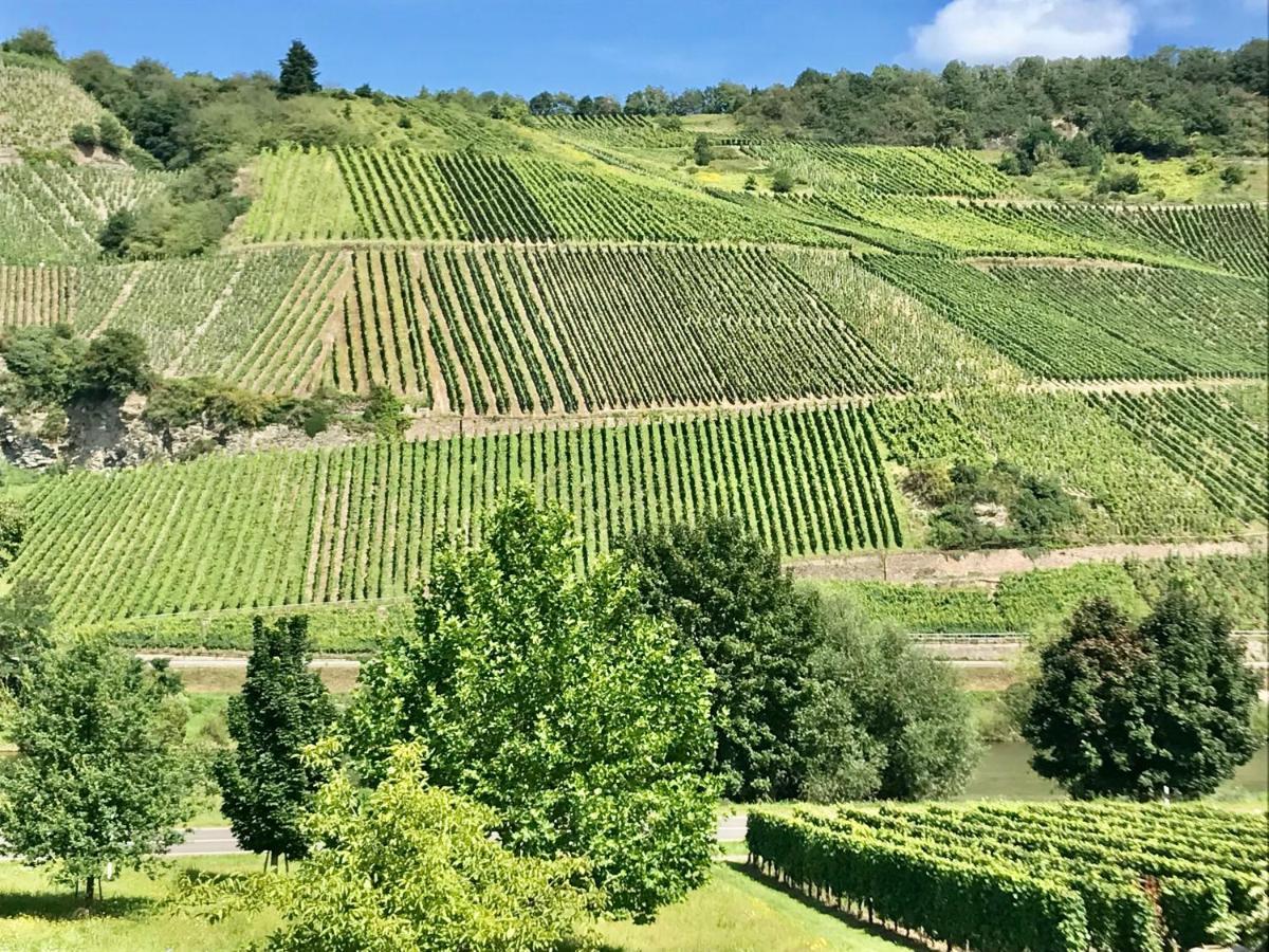 Apartament Weinlofts An Der Mosel Mit E10 Ladestation Köwerich Zewnętrze zdjęcie