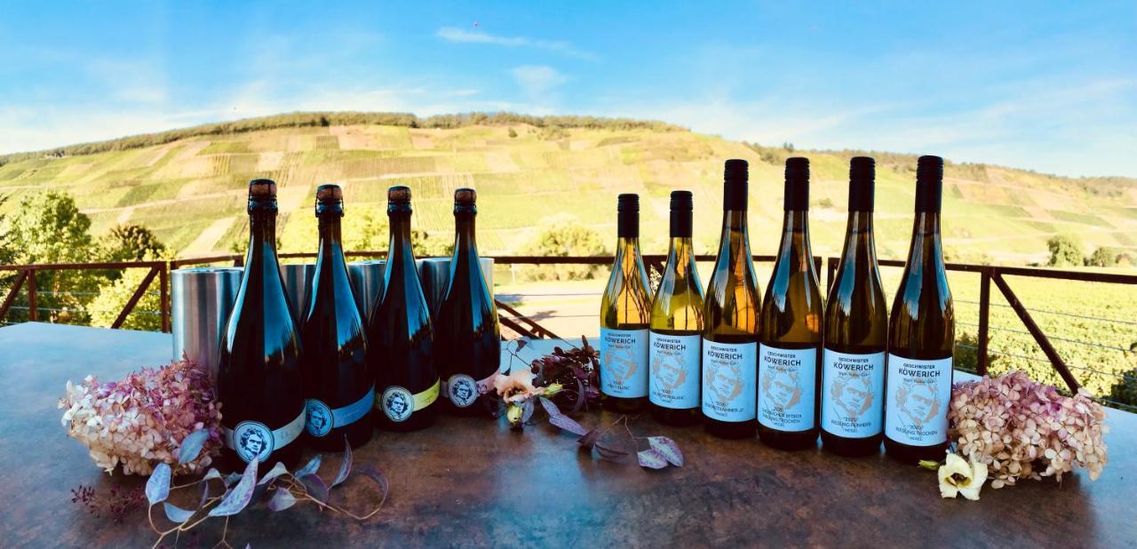 Apartament Weinlofts An Der Mosel Mit E10 Ladestation Köwerich Zewnętrze zdjęcie