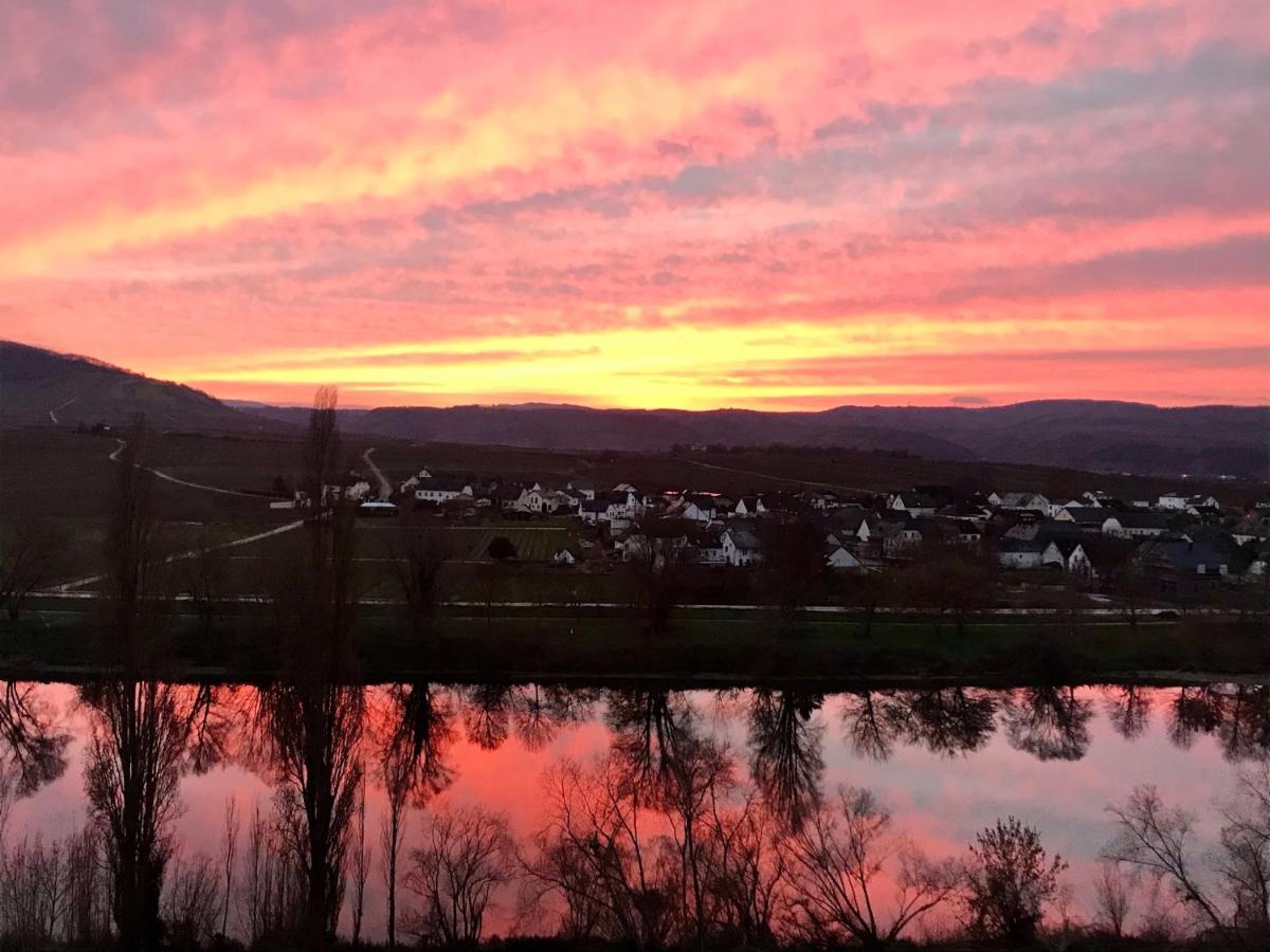 Apartament Weinlofts An Der Mosel Mit E10 Ladestation Köwerich Zewnętrze zdjęcie