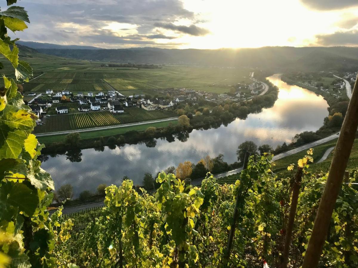 Apartament Weinlofts An Der Mosel Mit E10 Ladestation Köwerich Zewnętrze zdjęcie
