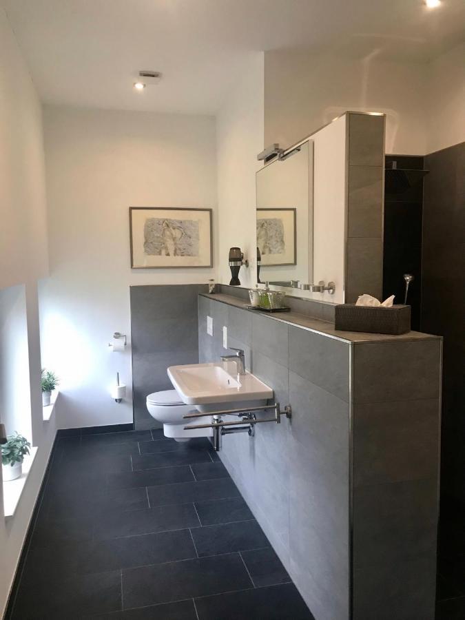 Apartament Weinlofts An Der Mosel Mit E10 Ladestation Köwerich Zewnętrze zdjęcie
