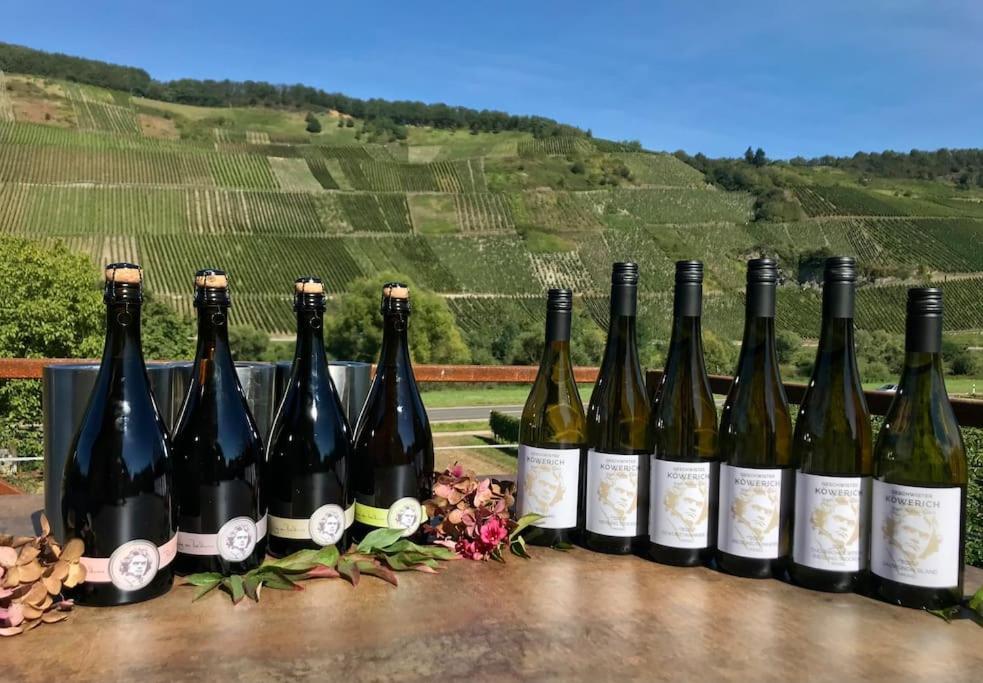Apartament Weinlofts An Der Mosel Mit E10 Ladestation Köwerich Zewnętrze zdjęcie